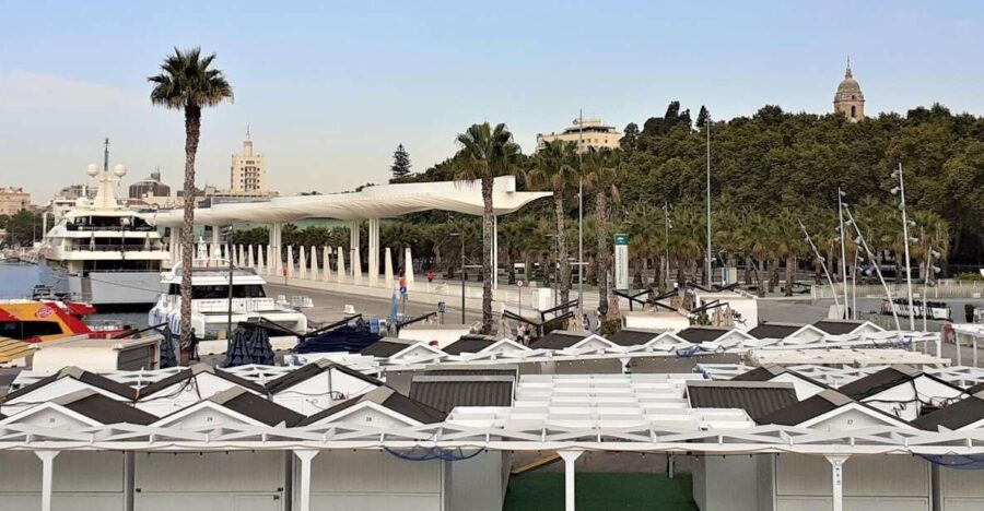 Malaga: Private Walking Tour