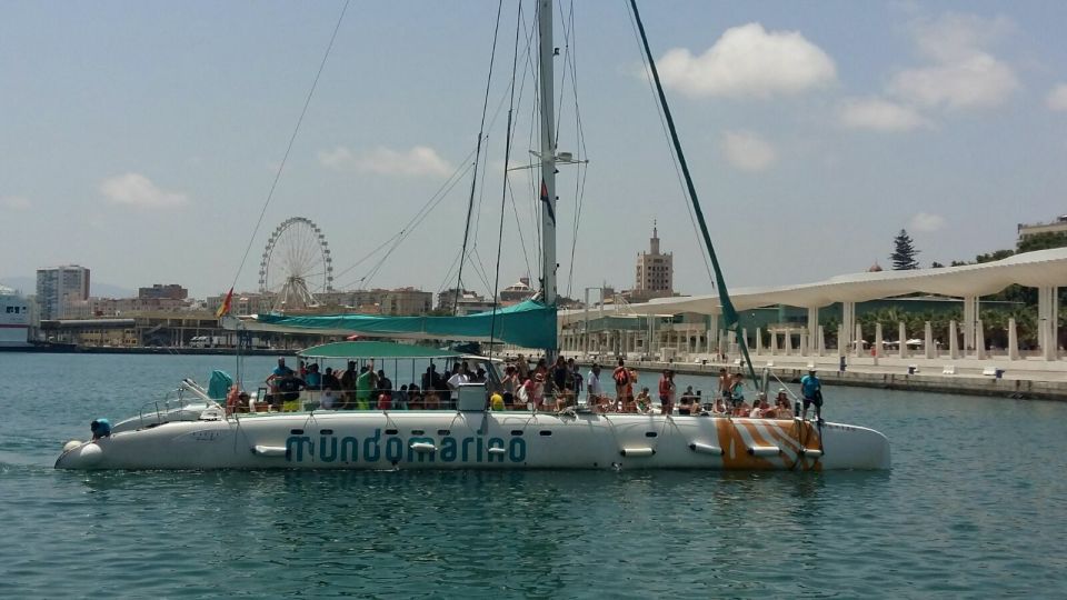 Malaga: Sailing Catamaran With Swimming and Paella Lunch - Overview and Pricing