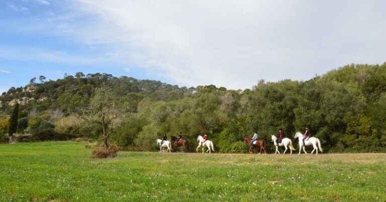 Mallorca: Activity, Antique Mallorca With Picnic