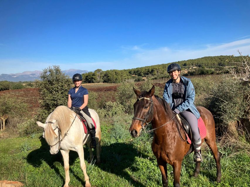 Mallorca: Activity With Horses, Antique Mallorca - Activity Overview