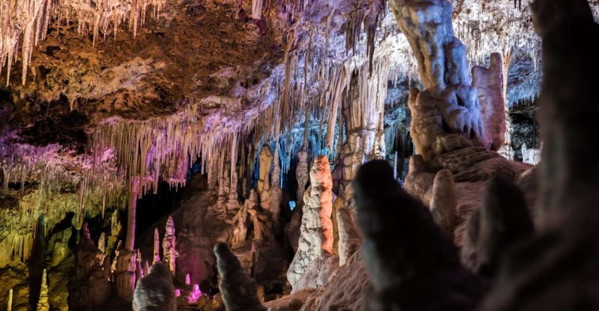 Mallorca: Day Trip to Caves of Hams & Optional Dinosaurland - Tour Overview and Pricing