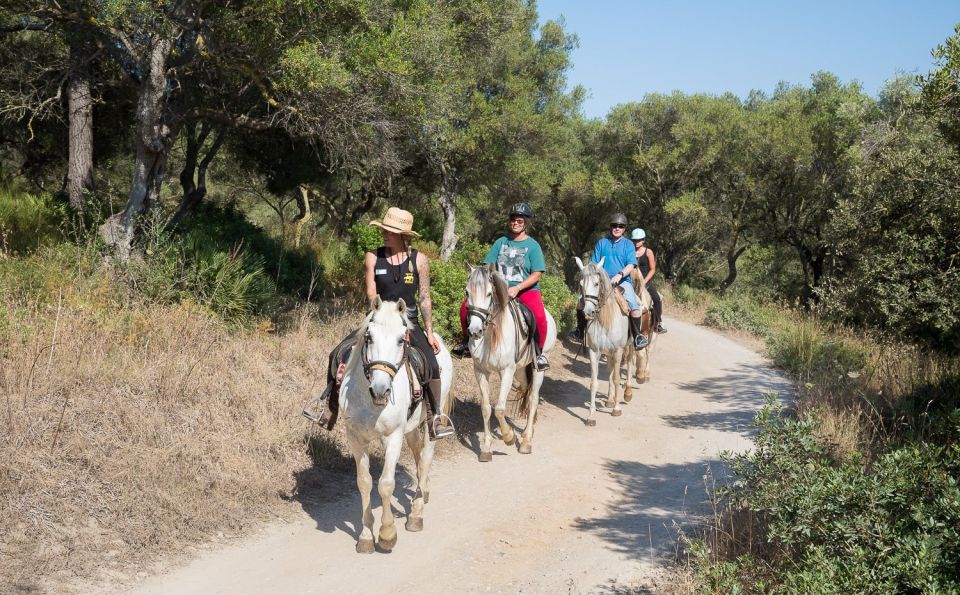 Mallorca: Horseback Riding Excursion and Wine Tasting - Overview of the Activity