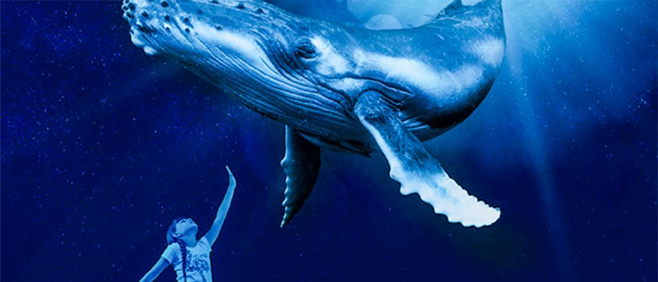 Mallorca: Palma Aquarium Entry Ticket W/ Optional 3D Cinema - Ticket Information