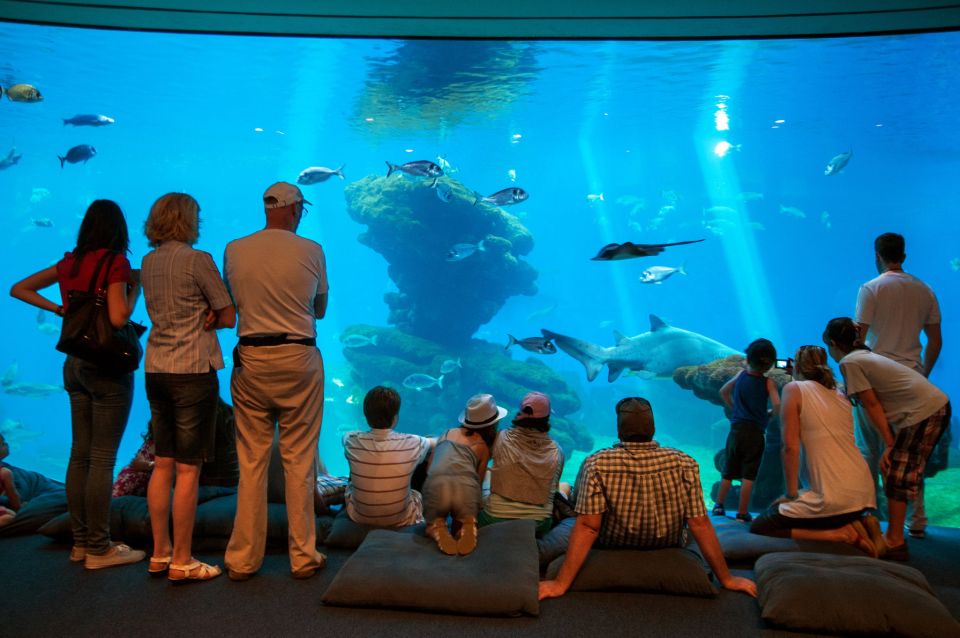 Mallorca: Palma Aquarium Tickets With Transfer - Overview and Pricing