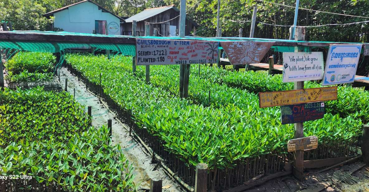 MANGROVES GREEN ESCAPES by Discovery Center, Kep West - Wildlife Encounters