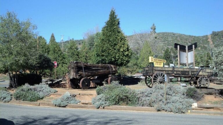 Mariposa: Museum and History Center General Admission Ticket