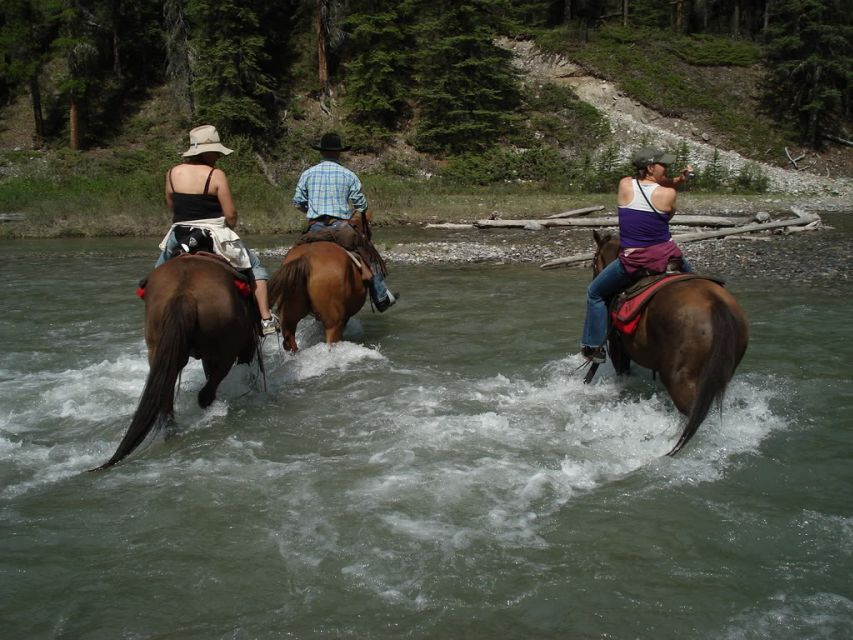 Marmaris National Park: Horse Safari - Overview of Horse Safari