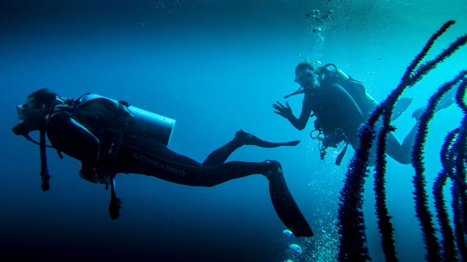 Marmaris: Scuba Diving Experience With 2 Dives and Lunch - Tour Overview