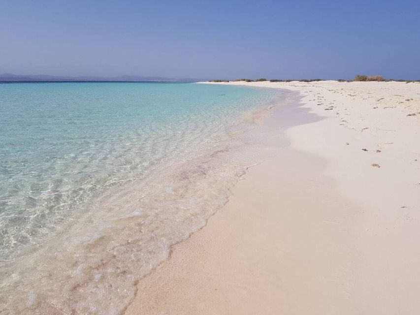 Marsa Alam: Hamata Islands Snorkeling Trip With Lunch - Tour Overview and Pricing