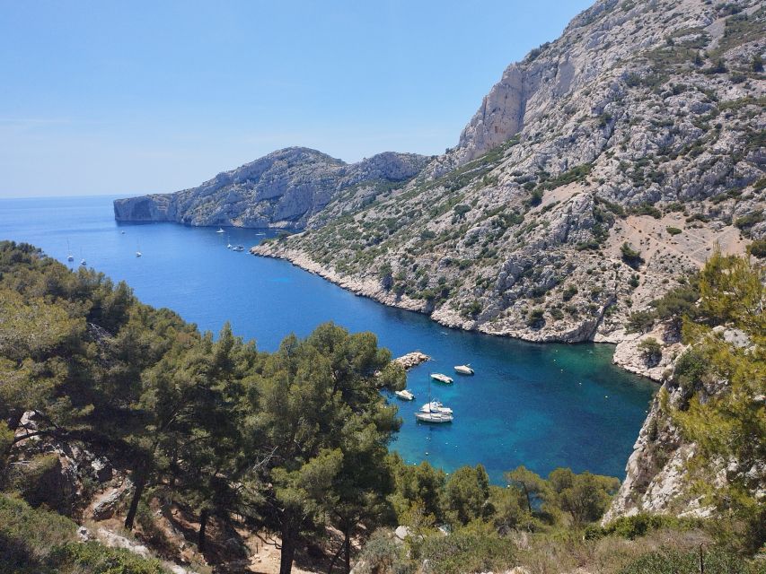 Marseille: Guided Hiking Calanques National Park From Luminy - Activity Overview