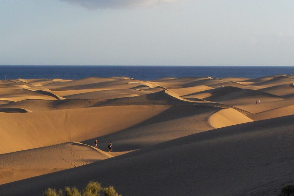 Maspalomas: 1 Hour Segway Sightseeing Tour - Tour Overview and Pricing