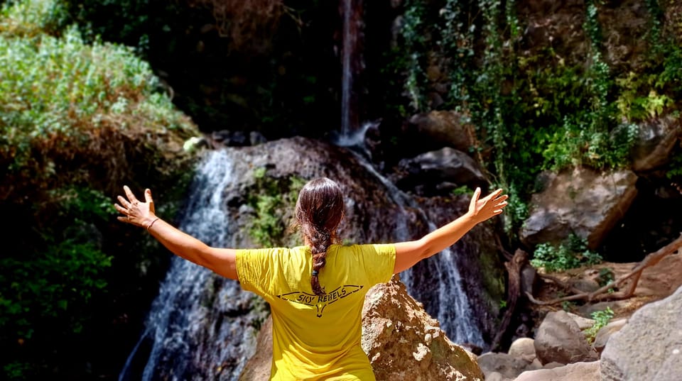 Maspalomas: Barranco De Los Cernicalos Rainforest Hike - Activity Overview