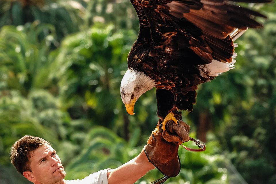 Maspalomas: Palmitos Park Ticket With Dolphin and Bird Shows - Ticket Information