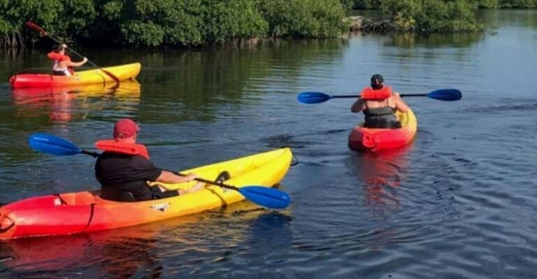 Matlacha: Dolphin & Mangrove Kayak Tour