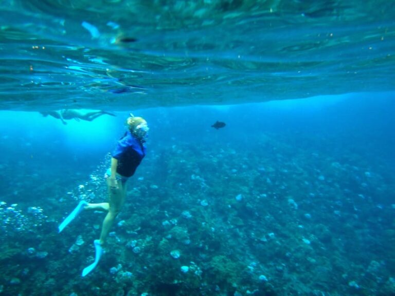 Maui: Snorkeling Cruise to Coral Gardens With Lunch