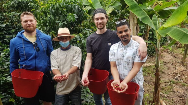 Medellin: Guatape, El Peñol Coffee Farm Private Tour & Fruit