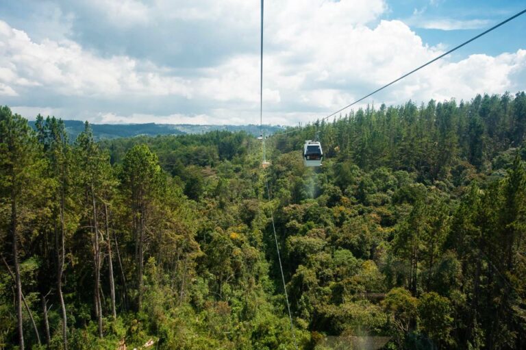 Medellin: Guided Nature Discovery Tour