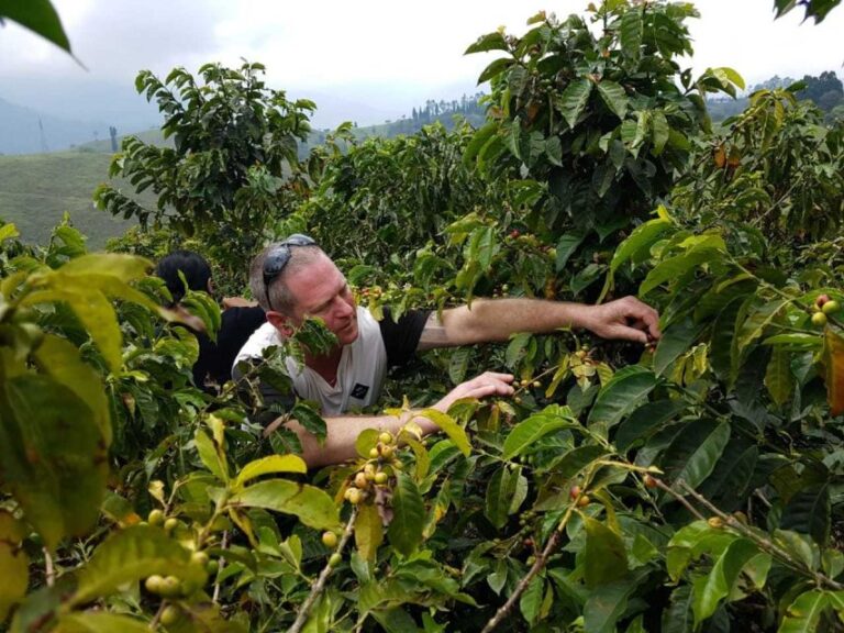 Medellin: Private 4-Hour Coffee Farm Visit