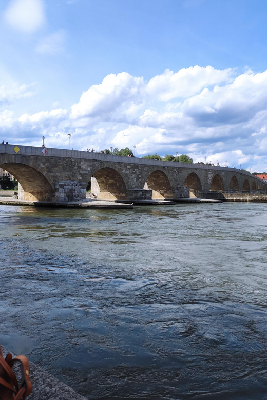 Medieval Regensburg City Tour With Native British Guide - Tour Overview