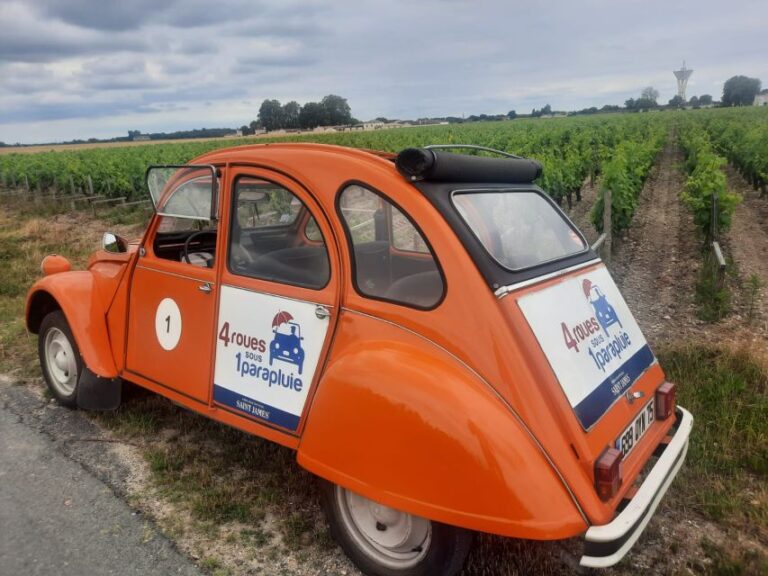 Médoc: Citroën 2CV Private Half-Day Wine Tour