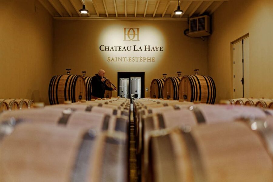 Medoc Tour : Margaux, Saint Estèphe and Greediness