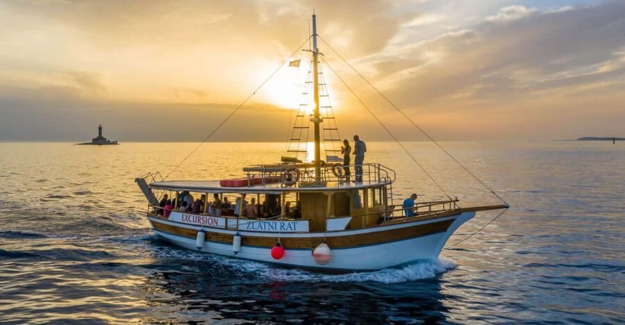 4 Best Dolphin Watching Tours In Medulin