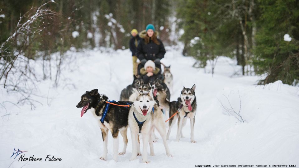 Meeting Santa Claus & Arctic Reindeer Safari & Hug Huskies - Tour Overview and Pricing