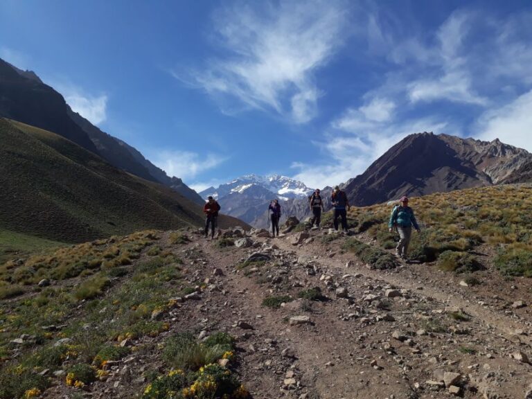 Mendoza: High Mountain and Aconcagua Park Tour With BBQ