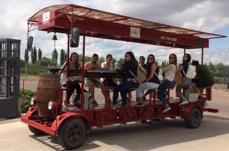 Mendoza: Winebike Tasting Tour With Optional Lunch