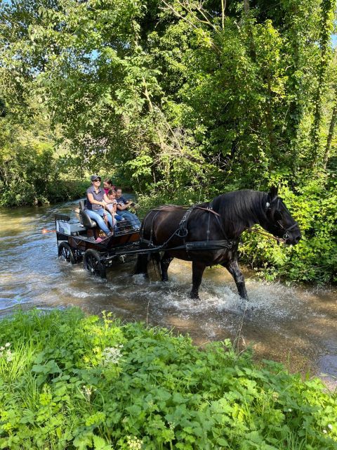 MENTHEVILLE : Horse Cariage Ride in Coutryside