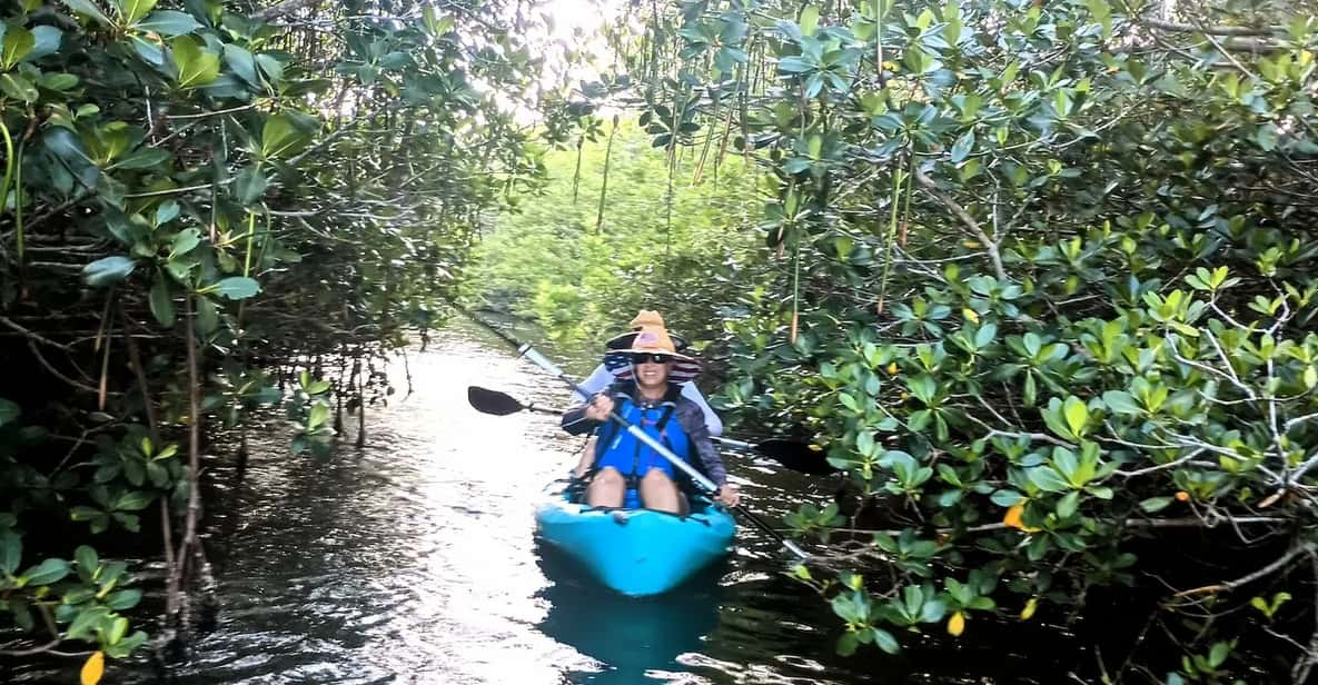 Merritt Island: Guided Kayak Eco-Tour Experience - Ecological Highlights