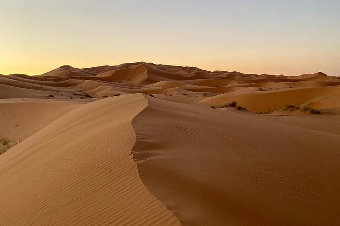 Merzouga Desert Quad Bike Adventure With Sand Boarding