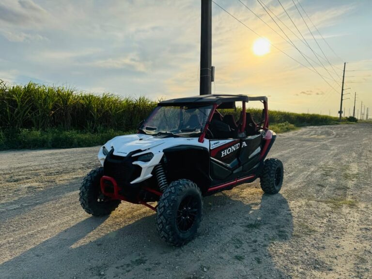 Miami: Drive a Honda Talon UTV for the Ultimate Adventure