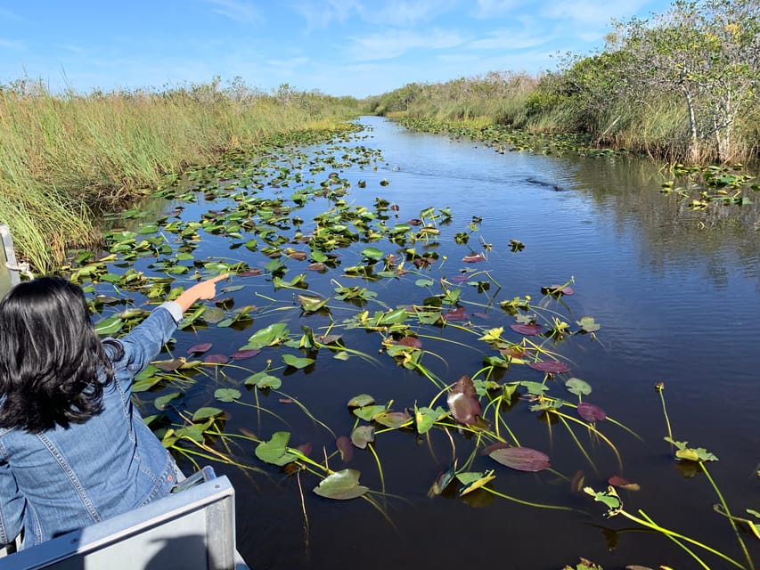 Miami: Everglades Airboat, Photo & Gator Experience - Activity Overview