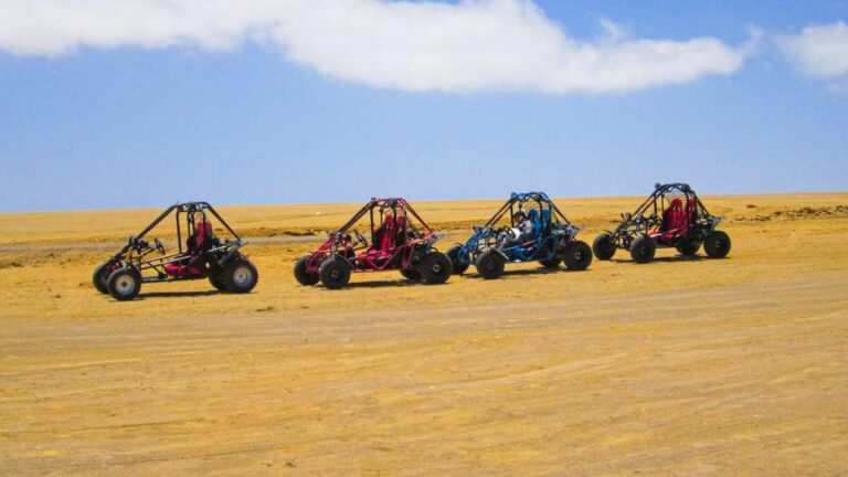 Minibuggy Adventure and Visit to the Paracas Reserve