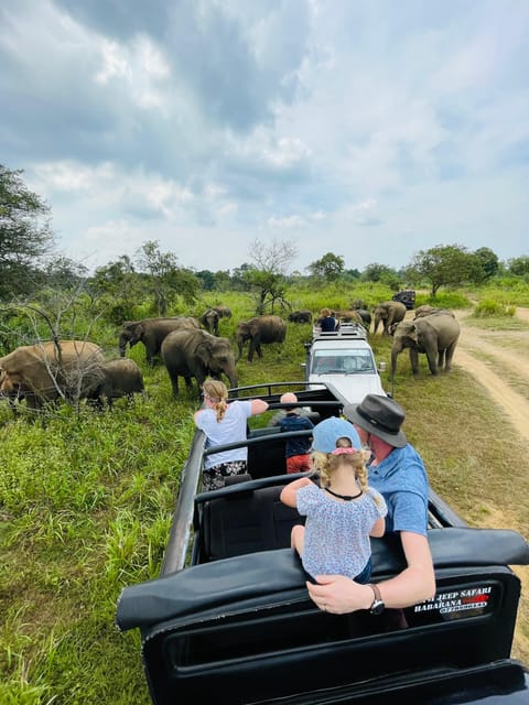 Minneriya National Park Safari in Golden Hours 4x4 Jeep - Safari Overview and Pricing