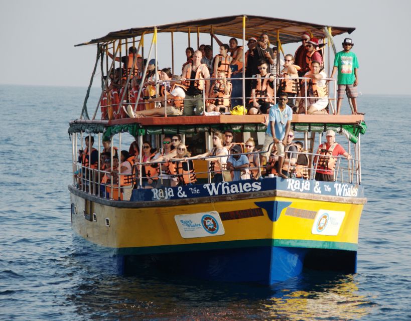 Mirissa Whale Watching Tour With Free Breakfast Onboard - Tour Overview and Pricing