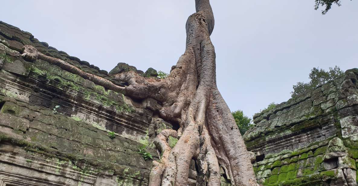 Mixture of Temples and Waterfall. - Overview of the Experience