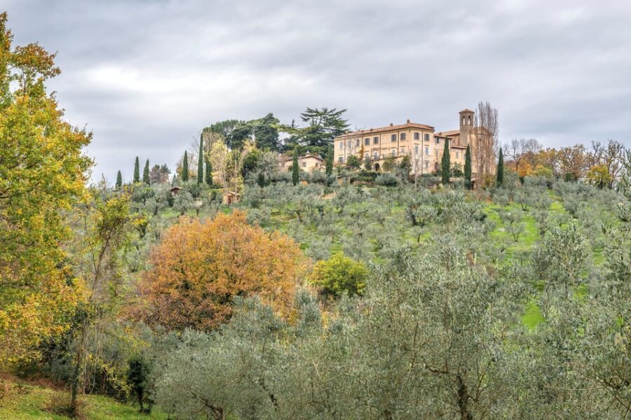 Monteleone Sabino: EVOO Tasting Experience, PVT Convent Tour