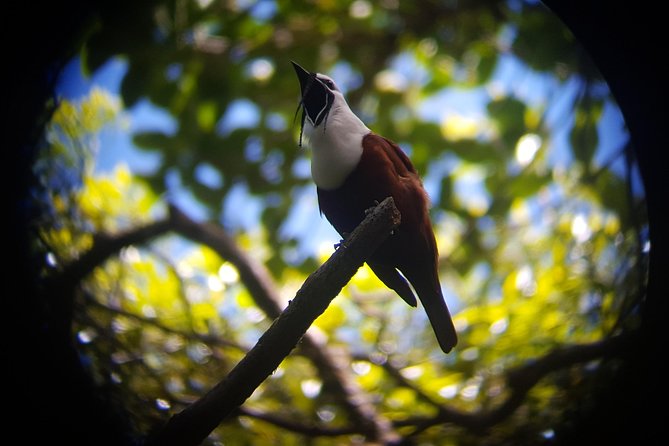Monteverde Cloud Forest Tour With a Certified Tour Guide - Tour Highlights