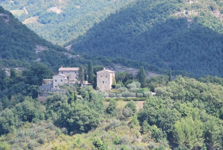 Montone Castles Tour With Dinners in Castello Cardaneto