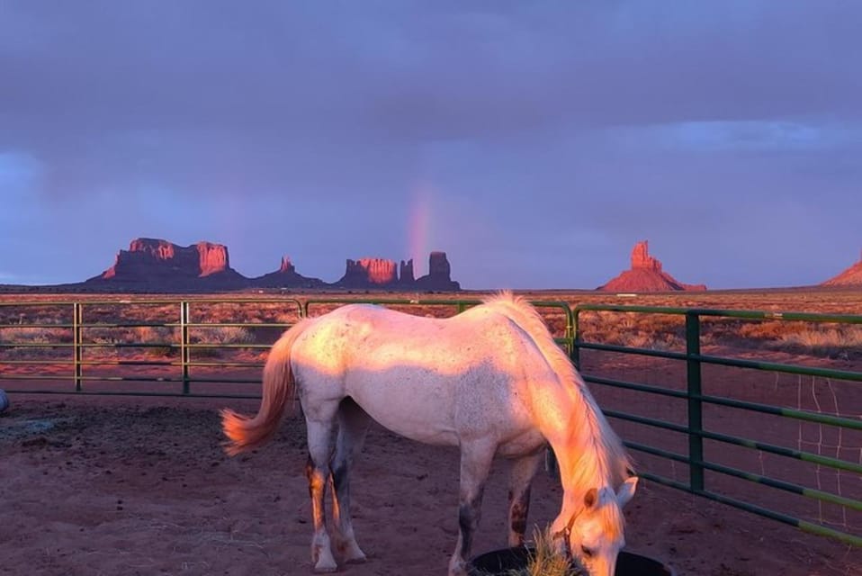 Monument Valley: Horseback Adventure Tour - Tour Overview and Pricing