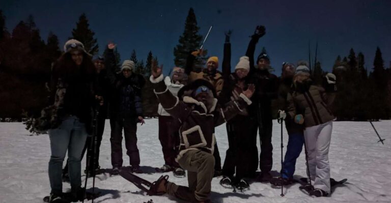 Moonlight Snowshoe Tour Under a Starry Sky