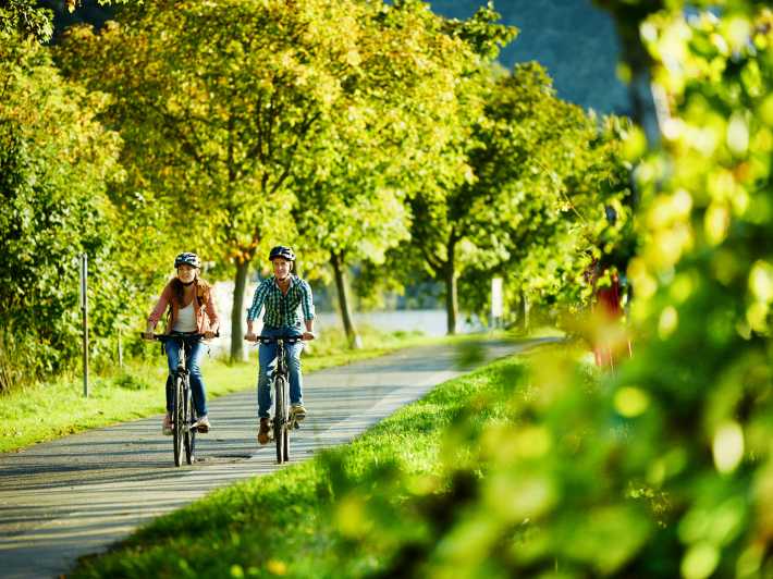 Mosel: Bike and Boat Tour With Picnic and Wine Tasting - Tour Overview