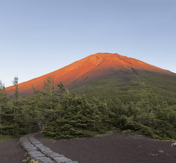 Mount Fuji Tour From Tokyo With English Speaking Guide - Booking and Cancellation Policy