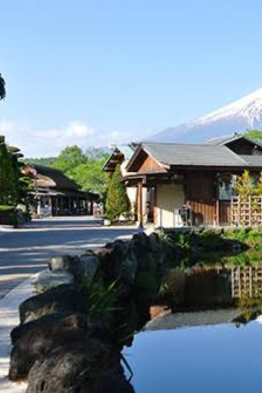 Mt. Fuji & Hakone: Exclusive Day Trip From Tokyo - Accessibility Features