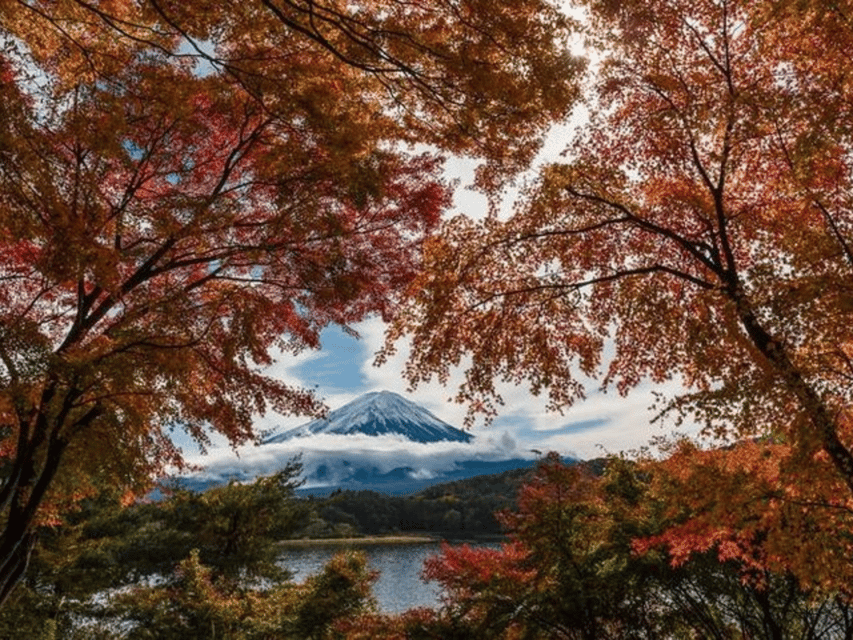 Mt Fuji : Unforgettable Tour With English Tour Guide - Highlights of the Tour