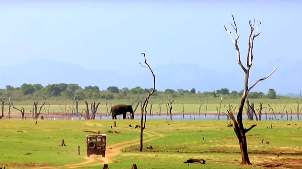 Multi-Day Tour: Udawalawe National Park Elephant Safari - Tour Overview and Pricing