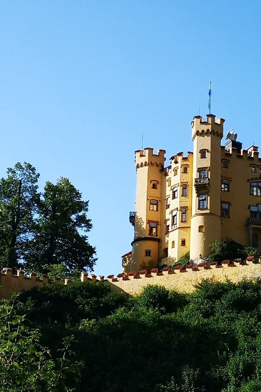 Munich: Neuschwanstein Castle by Bus With Alpine Bike Ride - Tour Overview and Details