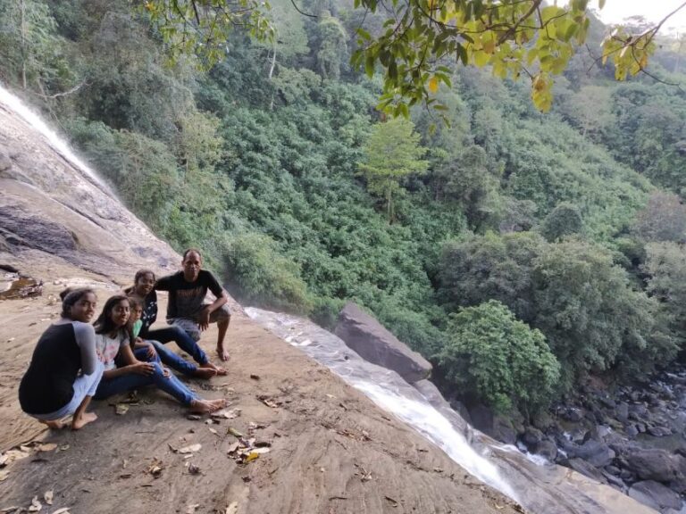 Munnar: Tea Garden and Elephant Safari Trip by 4×4